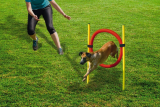 Beeztees Agility Hoepel set 60 cm