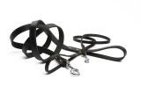Beeztees leren hondenriem geniet zwart  100 x 18 mm