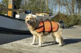 Beeztees reddingsvest M  9-23 kg