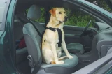 Beeztees wandel- en autogordel hond S