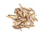 Carnis Spiering 100 gram