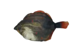 Totally Hooked kattenspeeltje Plaice M 30 cm