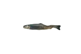 Totally Hooked kattenspeeltje Rainbow Trout M 30 cm