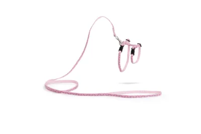 Beeztees nylon kittentuigje Mystic Roze