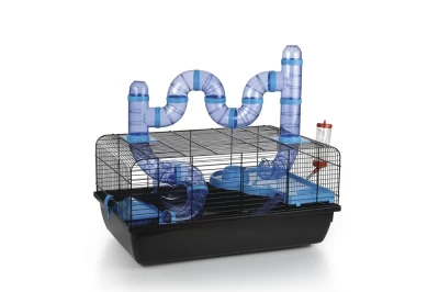 KNAAGDIERKOOI FRED ZWART BLAUW