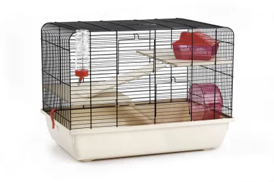 KNAAGDIERENK REX 2 ZWT/BGE 59X38X43