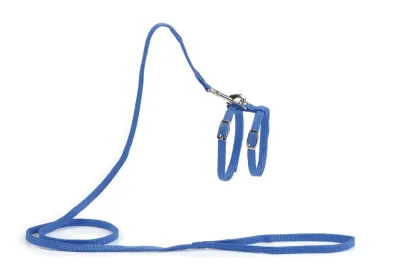 Beeztees nylon kattentuigje blauw 130 x 10