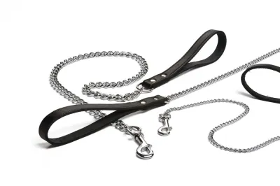 Beeztees kettinglijn Zwart 120 x 16 x 3 mm