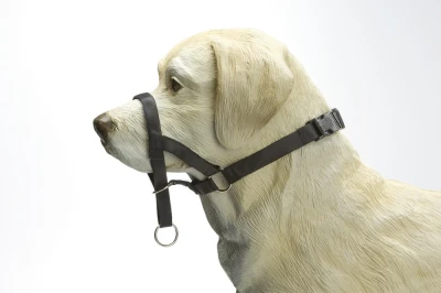 DOG CONTROL 6 ZWART