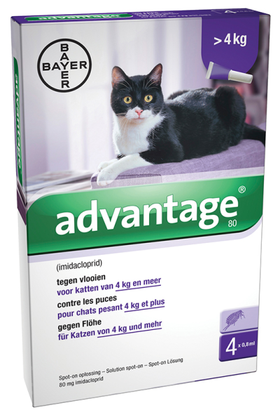 Advantage vlooienmiddel kat (> 4kg.)