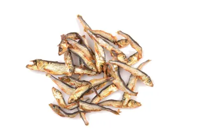 Carnis Spiering 100 gram