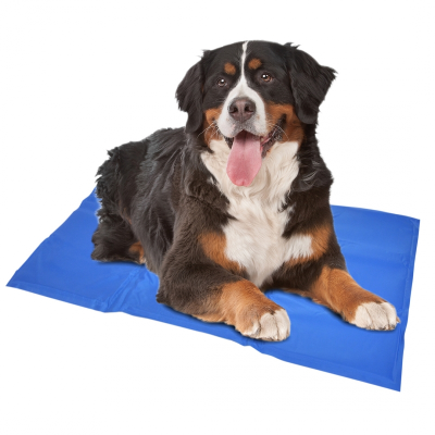 Duvo+ koelmat blauw XX Large