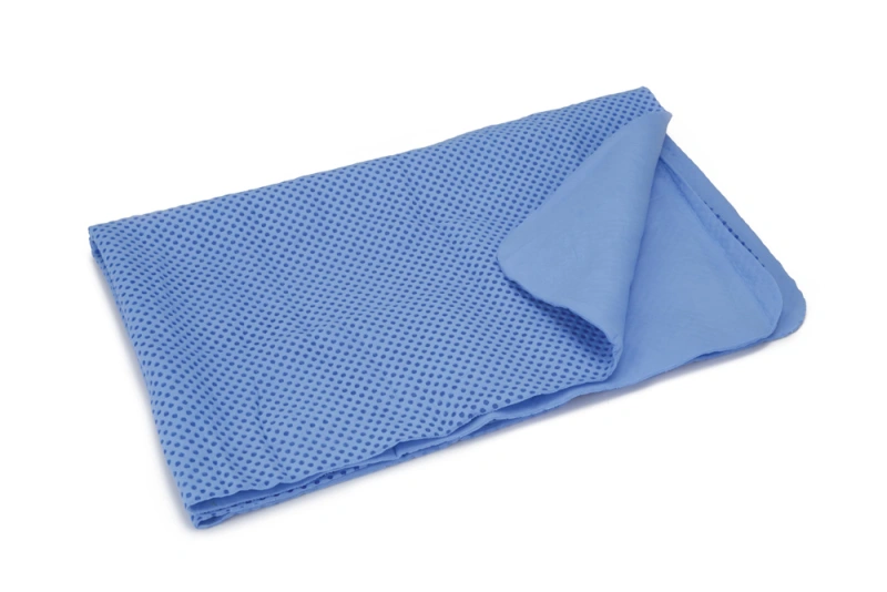 Beeztees absorberende drooghanddoek (blauw) voor honden