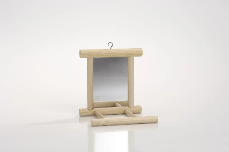 HOUTEN LANDSPIEGEL 10X10