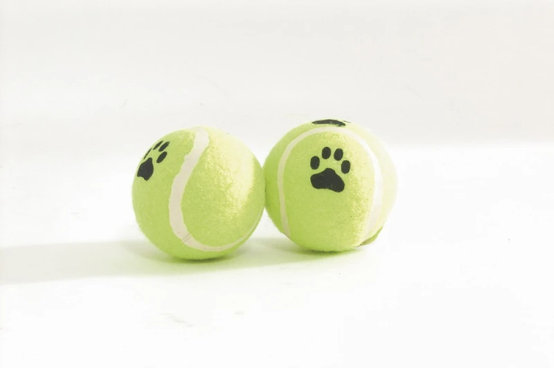 Beeztees tennisbal Geel + Voetopdruk 6,5 cm