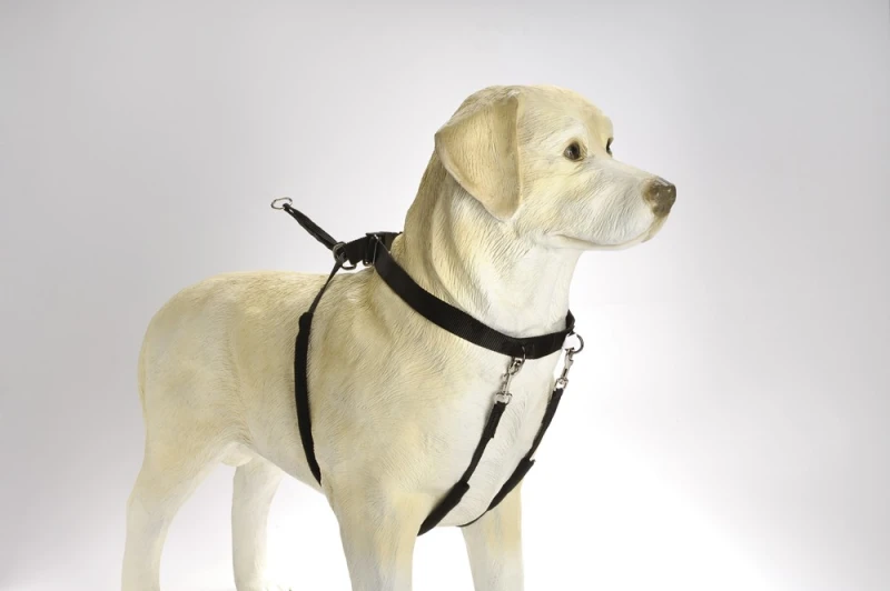 Beeztees Gentle Walker Zwart S