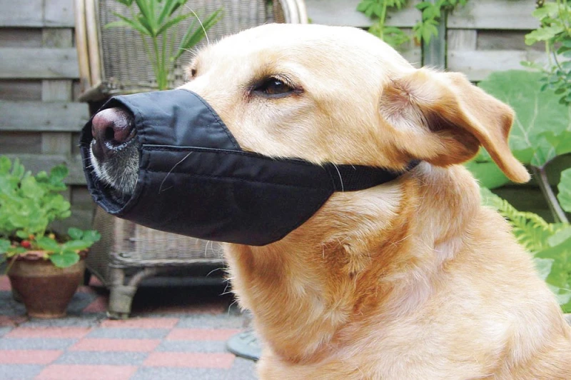 Beeztees veiligheidsmuilband S-L 13 cm