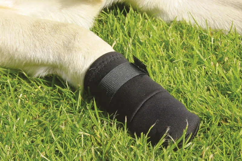 Beeztees beschermingsschoen Zwart Maat S