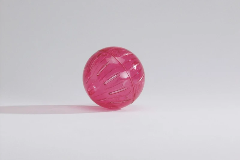 SPEELBAL HAMSTER/MUIS KLEIN 12