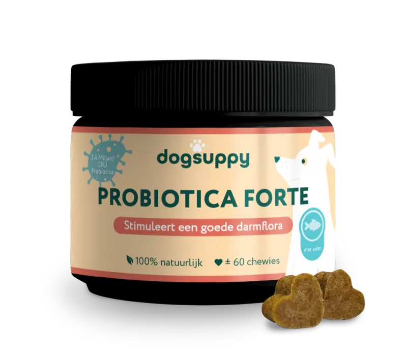 DogSuppy Probiotica Forte Hypoallergene Poeder 180 gram
