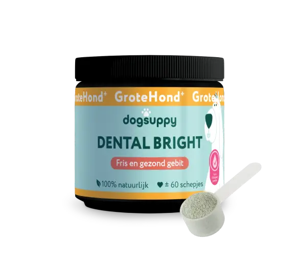DogSuppy Dental Bright Grote Hond 250 gram