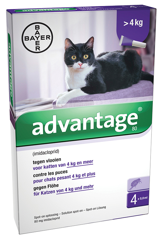 Advantage vlooienmiddel kat (> 4kg.)