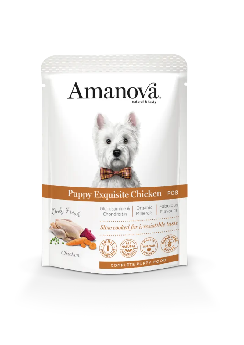 Amanova Dog Puppy Exquisity Chicken Pouch Grain Free 100 gram