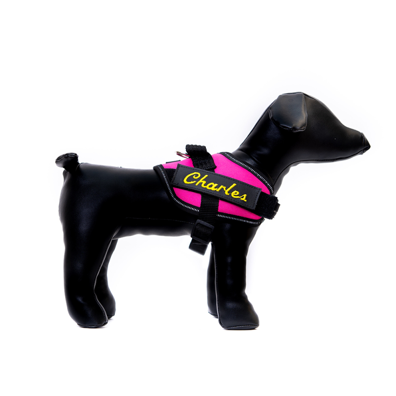 Grote labels IDC Julius K9 tuig met eigen naam GEBORDUURD