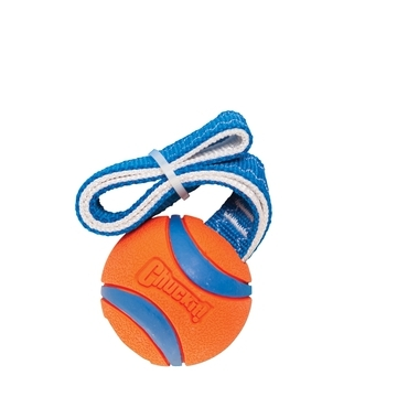 Chuckit Ultra Tug ball Medium 6 cm
