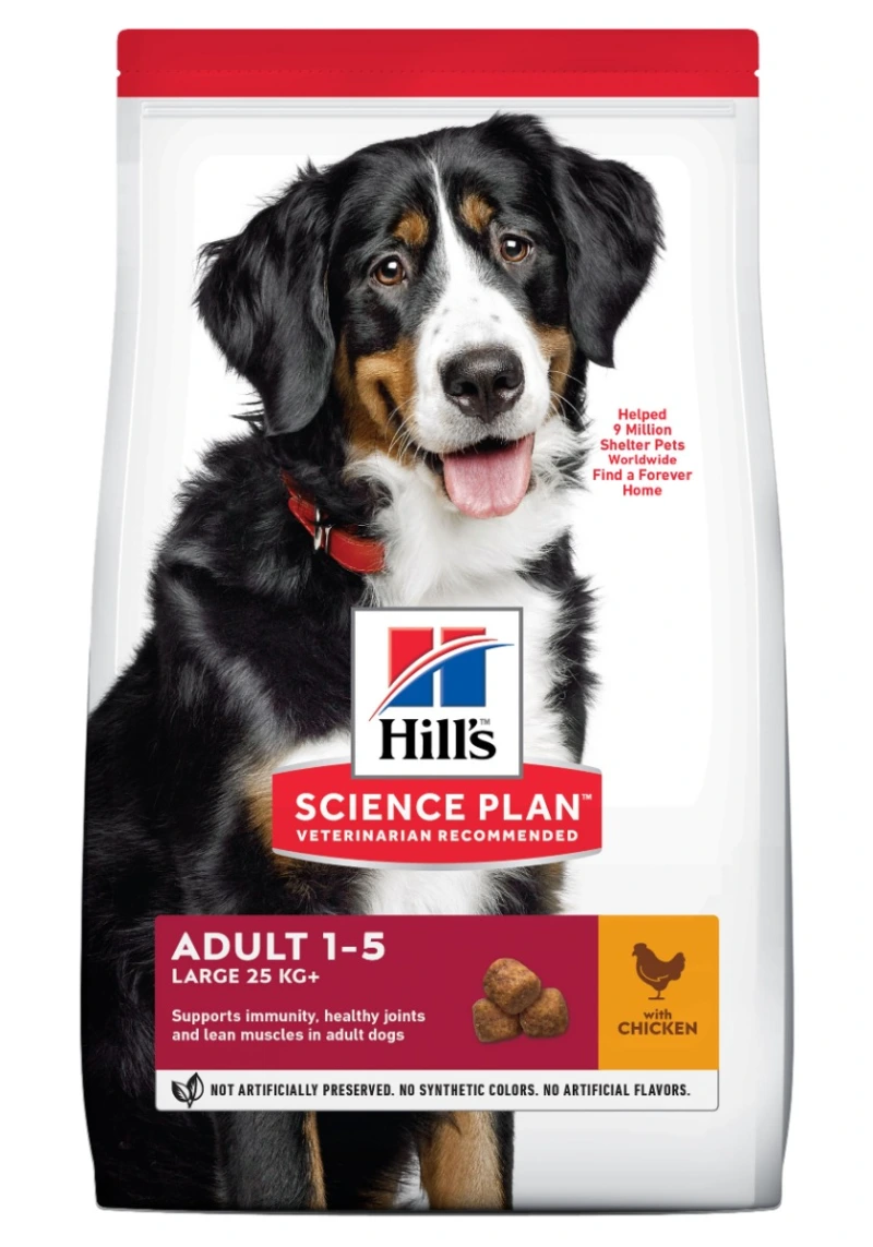 Hill's Science Plan Canine Adult Large Breed Chicken 12 kg