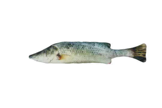 Totally Hooked kattenspeeltje Bass M 30 cm