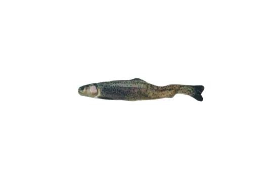 Totally Hooked kattenspeeltje Rainbow Trout M 30 cm