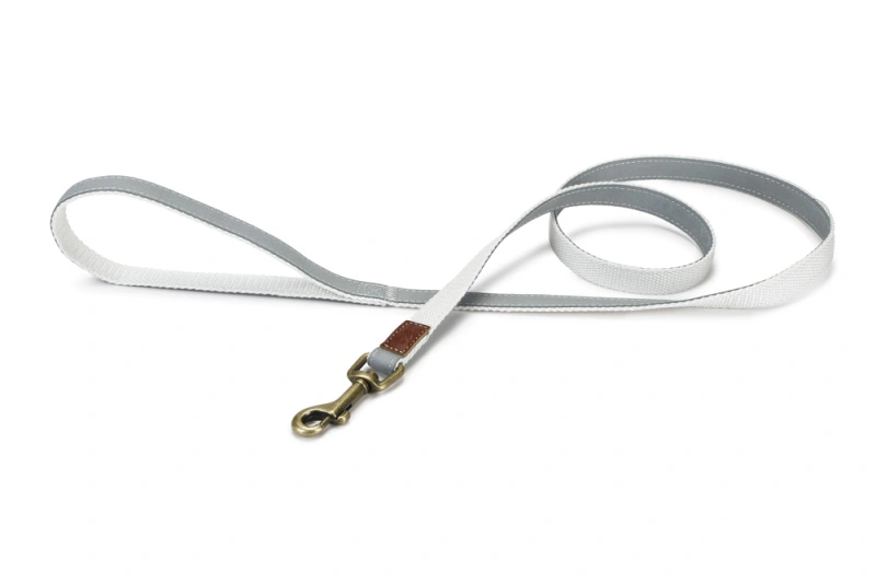 DBL looplijn Virante Mint 120 cm x 15 mm