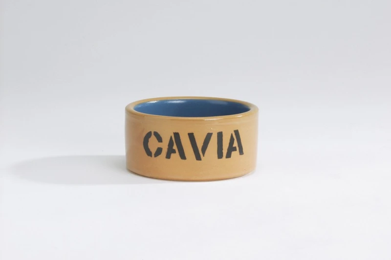 CAVIABAK CAVIA 11.5 GEGLAZ.