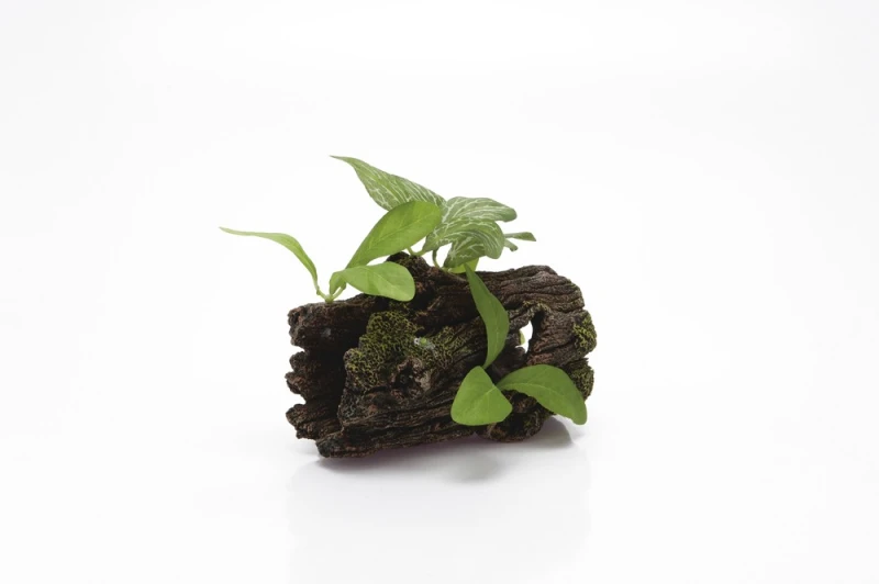POLYRESIN BOOMSTRONK DIK+PLANTEN