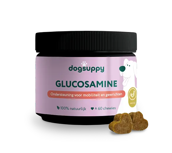 DogSuppy Glucosamine 180 gram