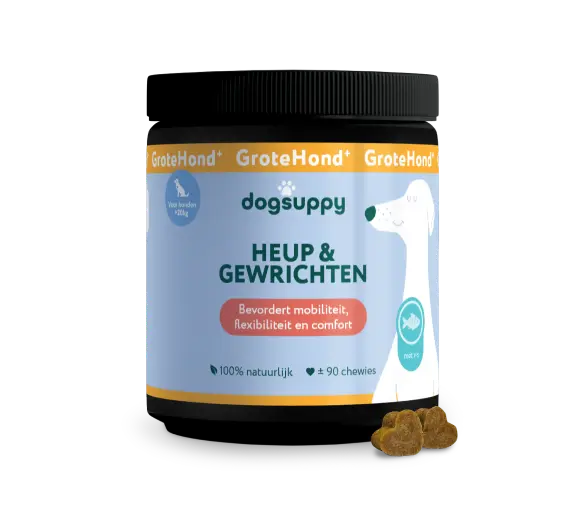 DogSuppy Heup & Gewrichten Grote Hond 360 gram