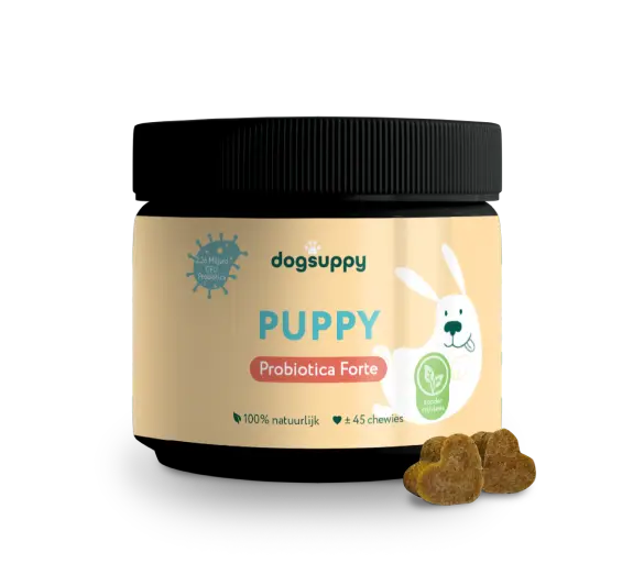 DogSuppy Puppy Probiotica Chews 90 gram