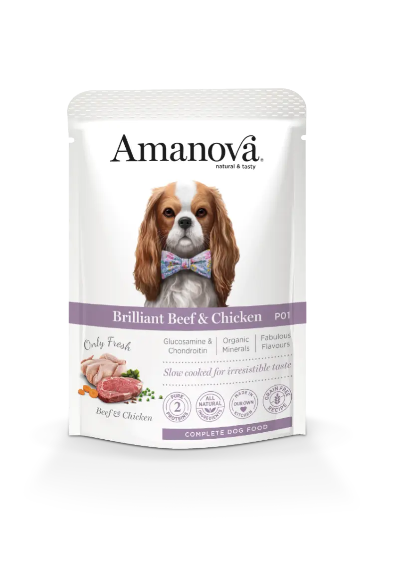 Amanova Dog Adult Brillian Beef & Chicken Pouch Grain Free 300 gram
