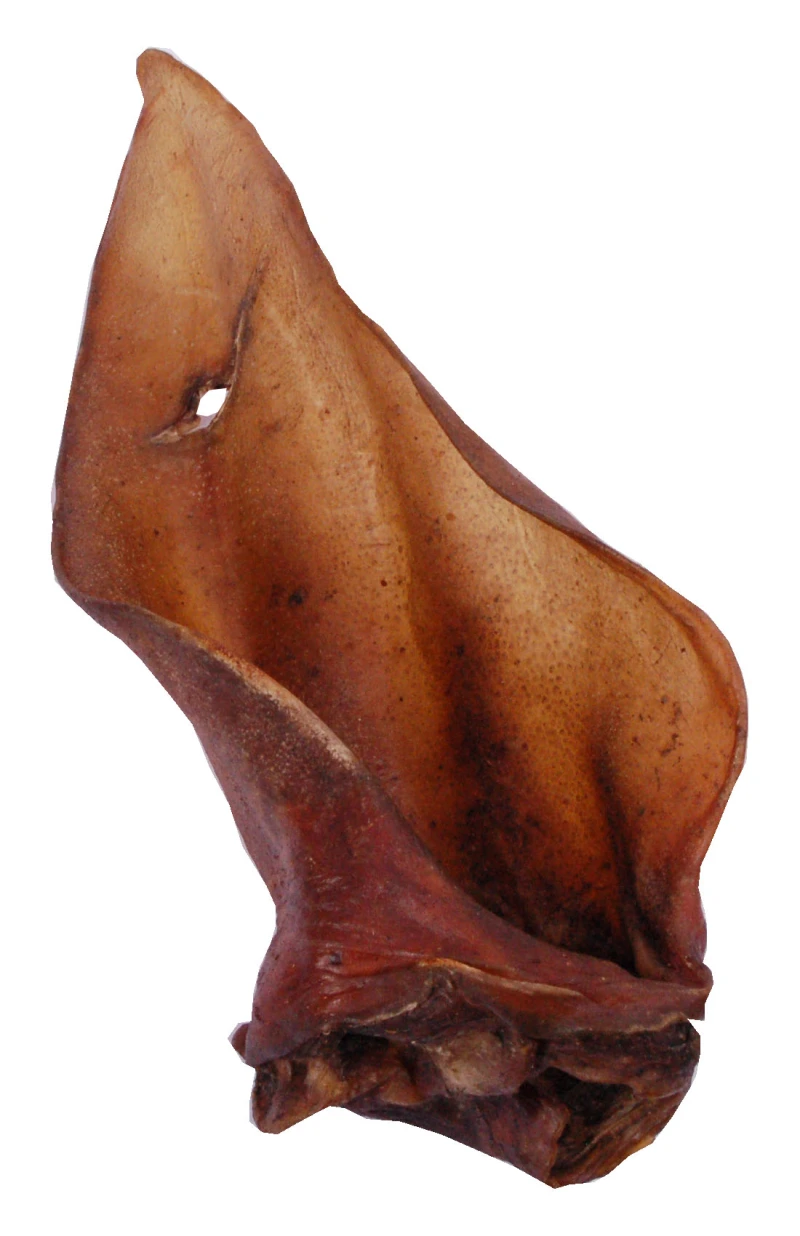 Runderoren met pit 100 stuks