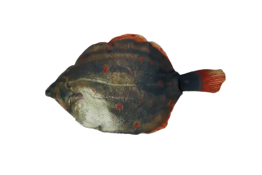 Totally Hooked kattenspeeltje Plaice M 30 cm