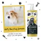 Bugalugs Medi Fresh Dog Shampoo Bottle with Pump 500 ml