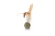 Beeztees kattenspeeltje Catnip Bal met veren 12 cm