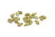 Beeztees kattensnack Catnip Cookies Salmon 55 gram