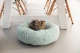 Beeztees Kitten ligmand Vako Blauw 50 cm