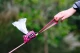 Beeztees poepzakhouder Cora Roze 7,5 x 3,5 x 4 cm