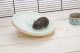 Beeztees houten loopschijf Spidi Mint 20 cm