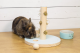 Beeztees houten speeltoren Hayra Mint