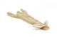 Beeztees Flatino Pluche Konijn Bruin 52 cm