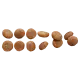 Euro Premium Puppy Small Chicken & Rice 12 kg